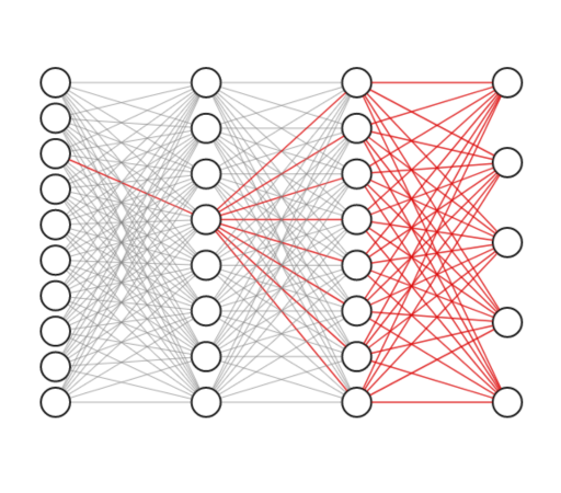 Neural Modeling Environment